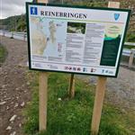 BRUNEN