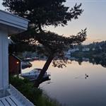 Håpefuglen