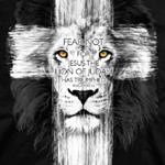 Holy Lion 777