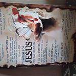 Israel81