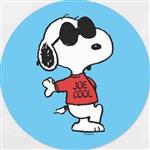 Joe Cool
