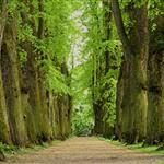 Jon på Sagene i Oslo