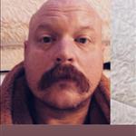 SteinBekk