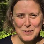 Turglede